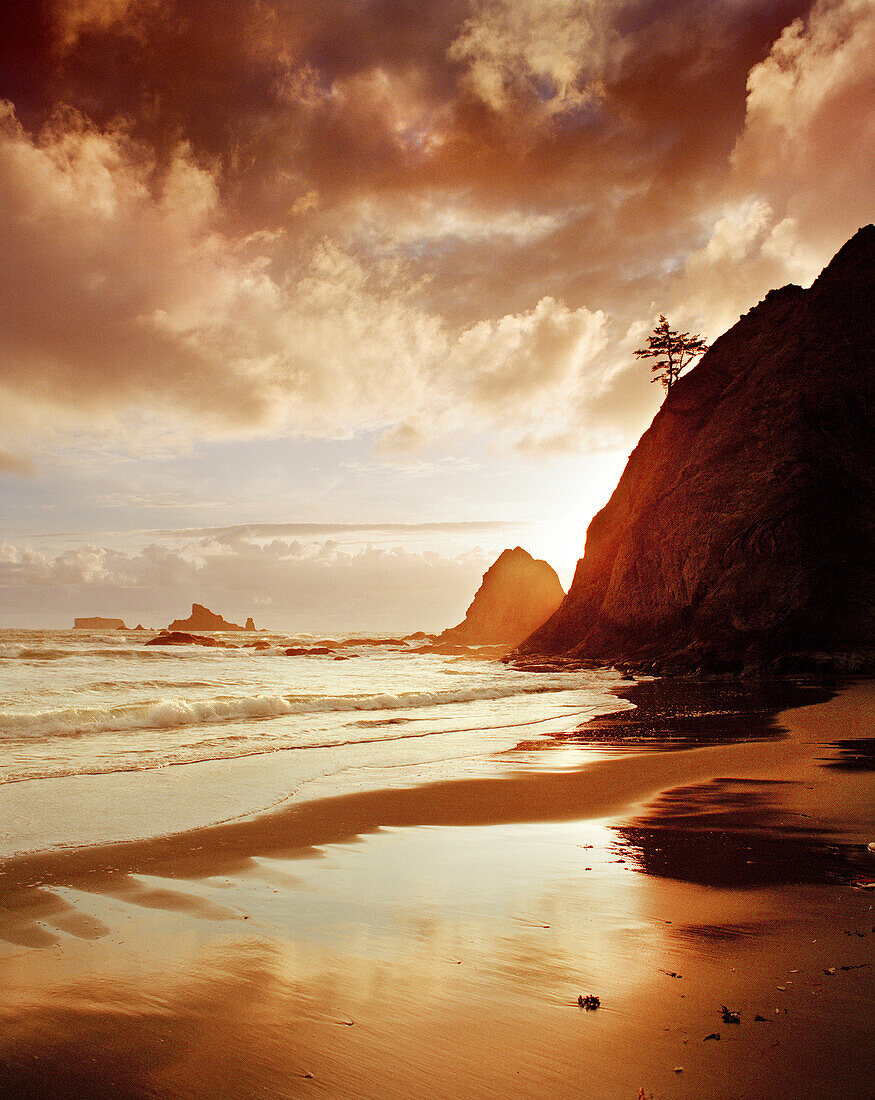 USA, Washington State, Rialto Beach landscape, Olympic National Park