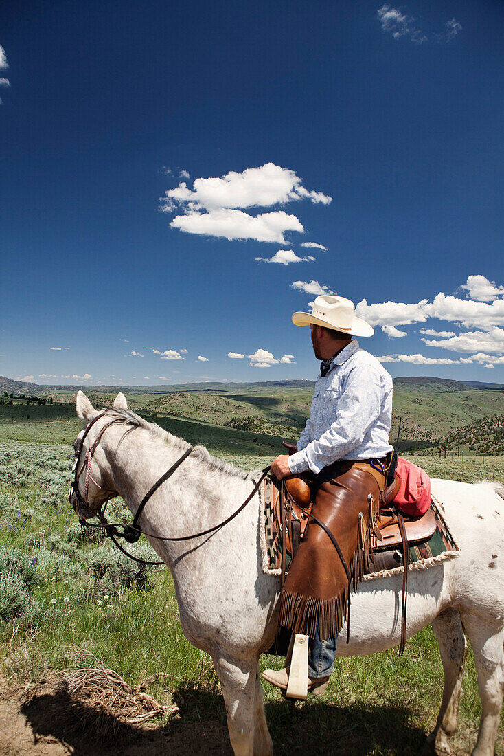 USA, Wyoming, Encampment, a cowboy sits on his horse and looks to the horizon, Abara Ranch