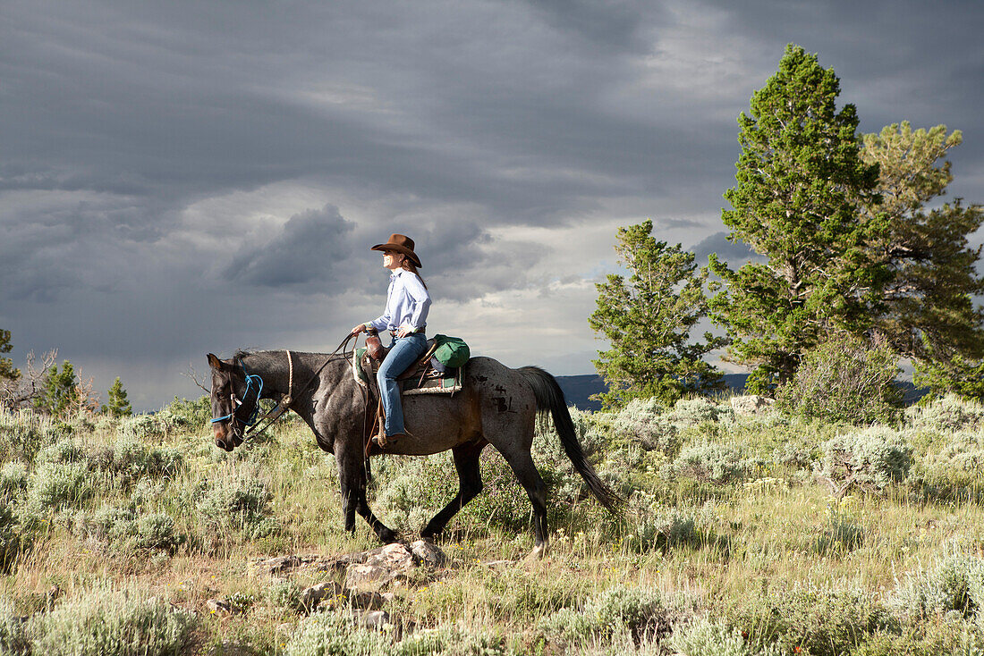USA, Wyoming, Encampment, a cowgirl rides a horse through the sage brush, Abara Ranch