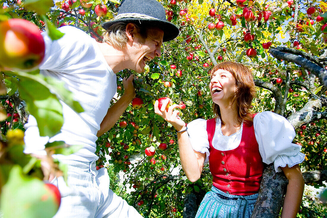 Paar im Apfelbaum, Steiermark, Österreich