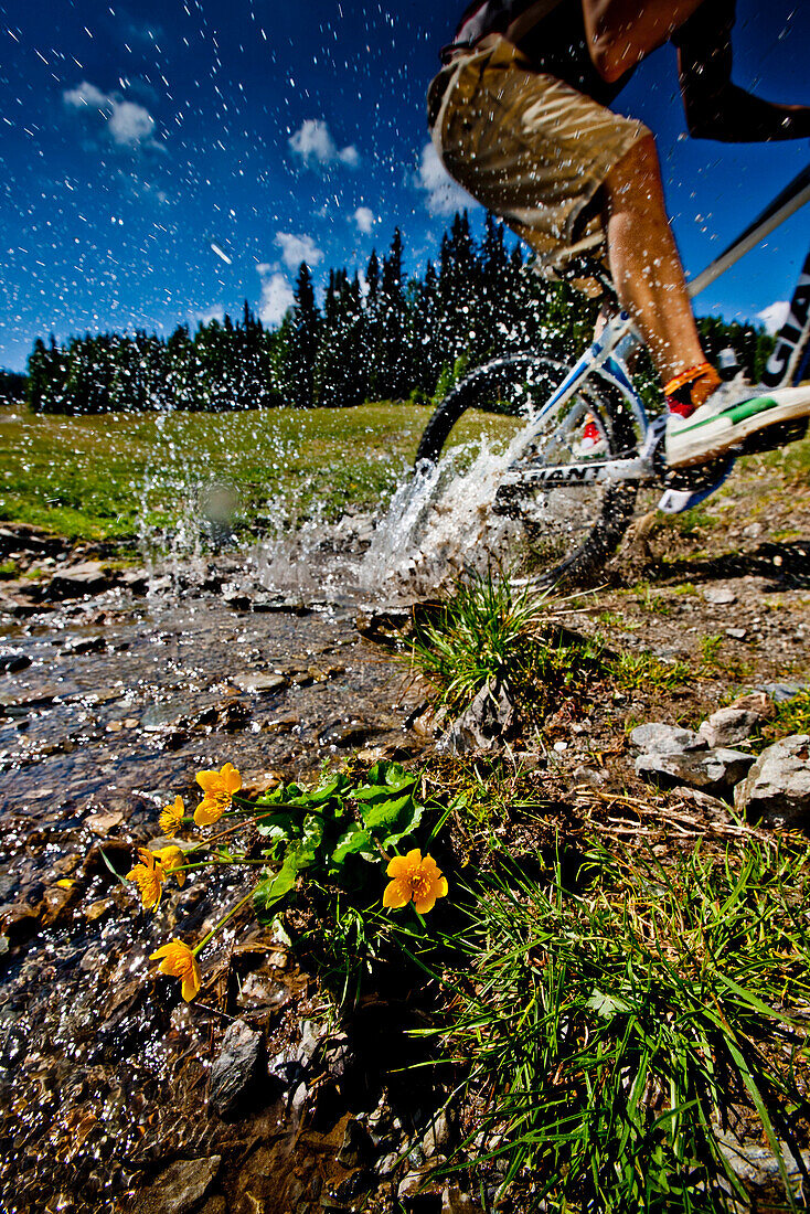 Downhill mountain biker off-roading, Frauenalpe, Murau, Styria, Austria