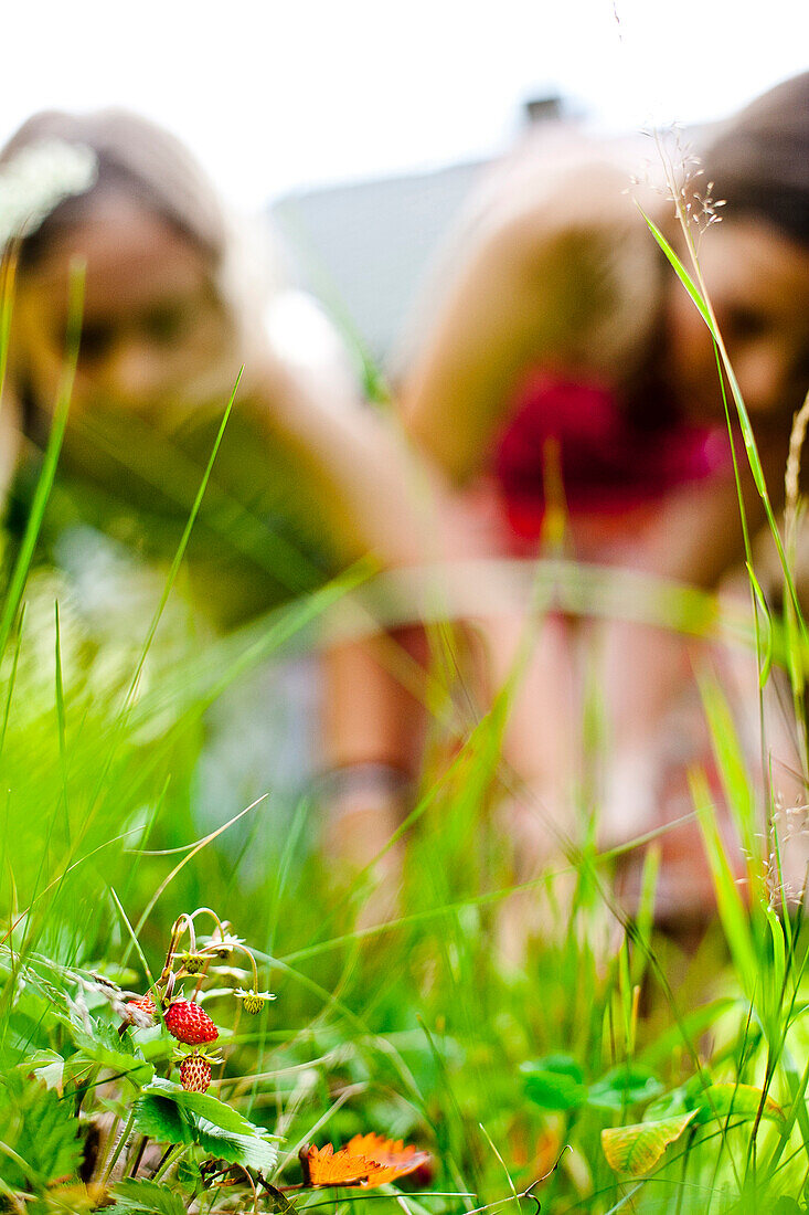 Zwei Mädchen auf einer Wiese, Steiermark, Österreich