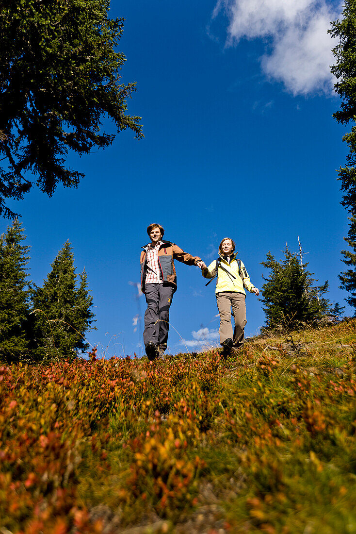 Wanderer im Herbst, Planai, Schladming, Steiermark, Österreich