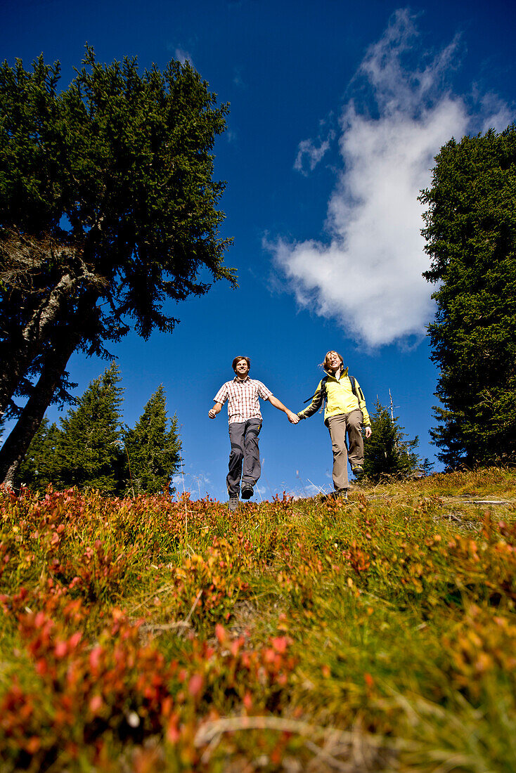 Hikers in autumn, Planai, Schladming, Styria, Austria
