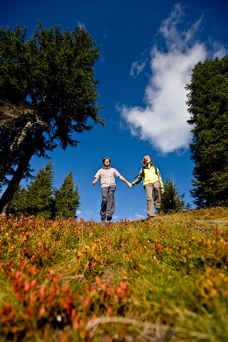 Wanderer im Herbst, Planai, Schladming, Steiermark, Österreich