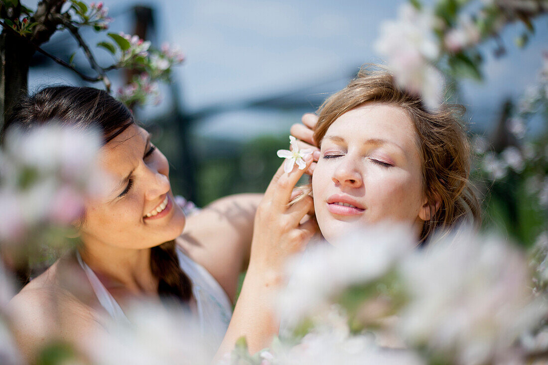 Two young women between flowering apple trees, Riegersburg, Styria, Austria