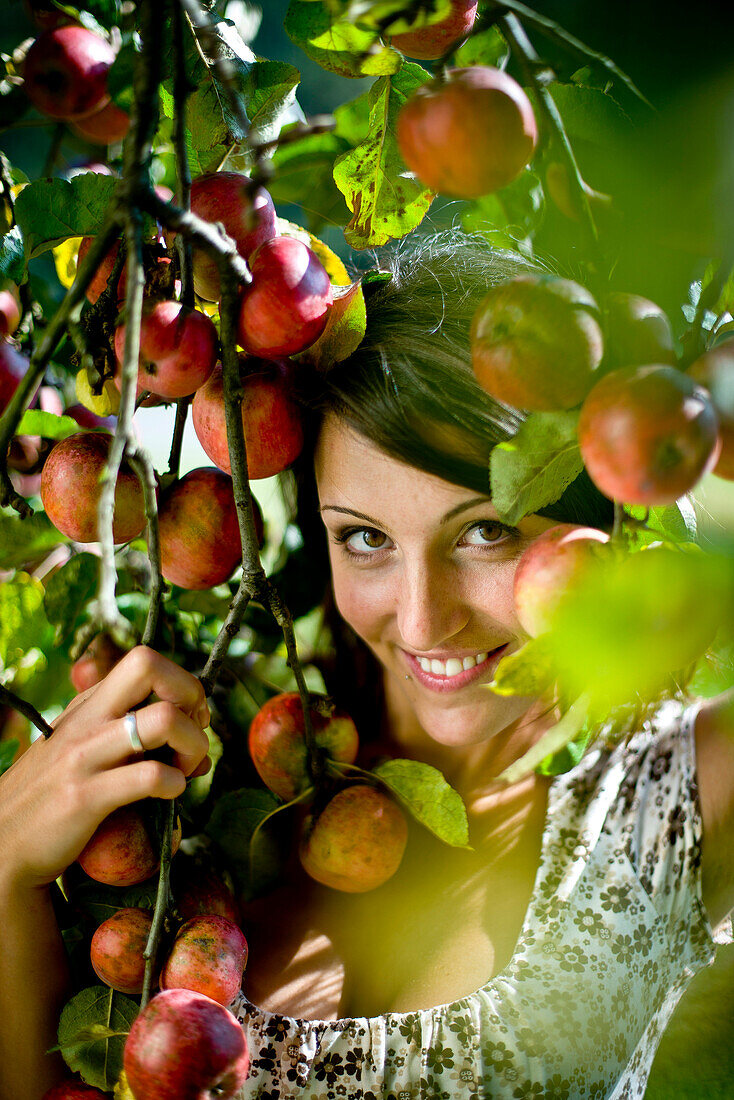 Junge Frau in einem Apfelbaum, Steiermark, Österreich