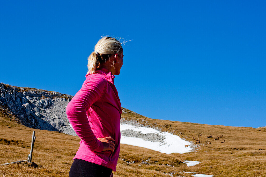 Frau beobachtet Gämsen, Hochschwabgebiet, Steiermark, Österreich