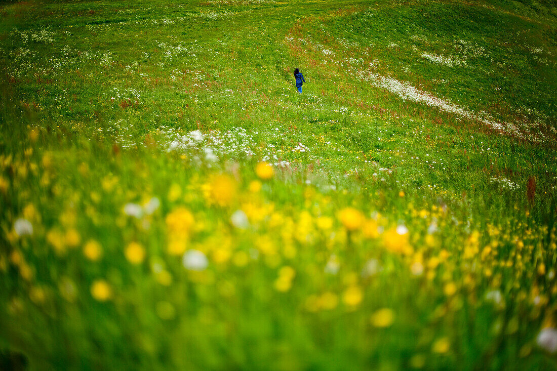 Frau läuft über eine Blumenwiese, Steiermark, Österreich