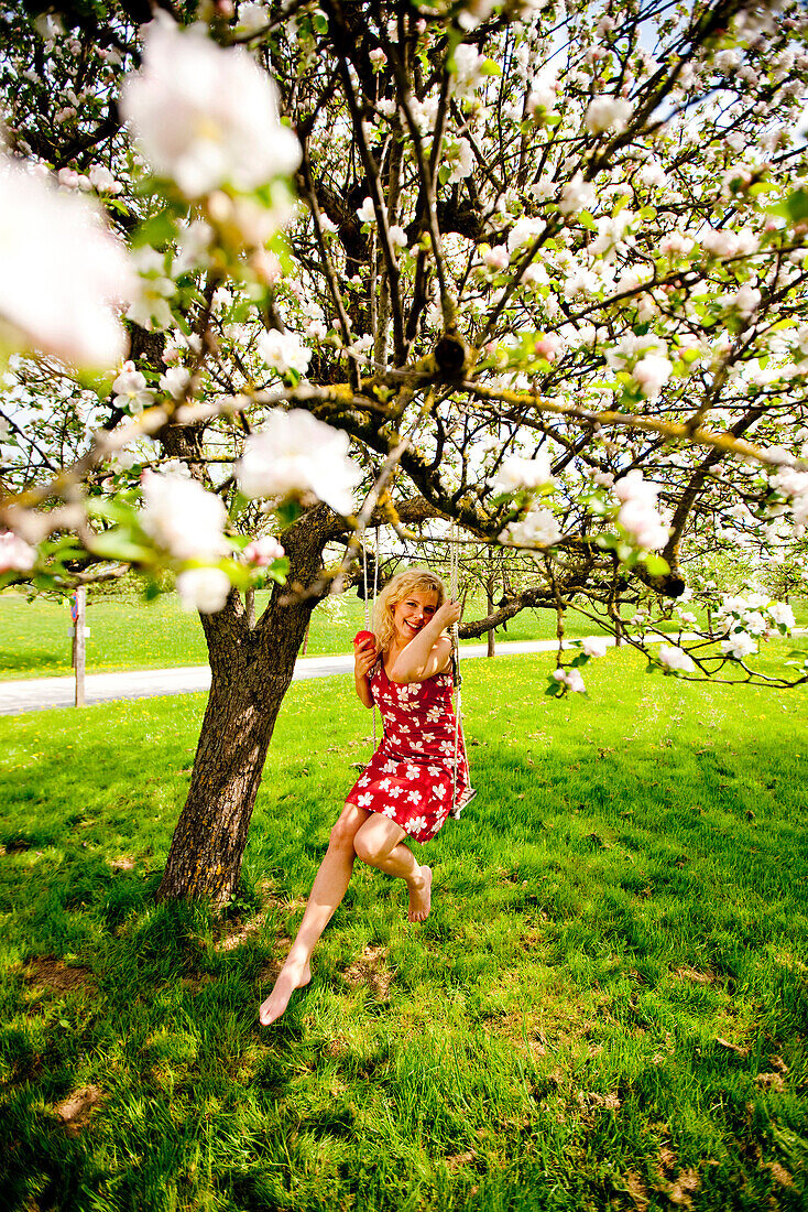 Junge Frau schaukelt in einem Apfelbaum, Stubenberg, Steiermark, Österreich