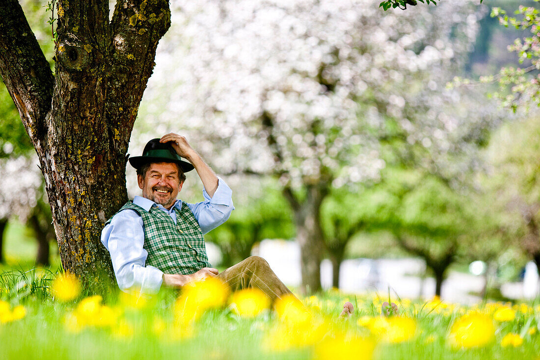 Mann sitzt in einem blühenden Obstgarten, Stubenberg, Steierermark, Österreich