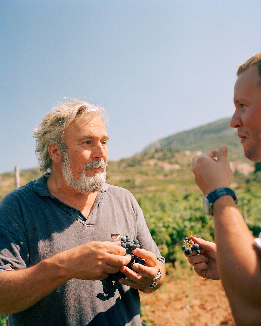 CROATIA, Hvar, Dalmatian Coast, vintner Andro Tomic in his vineyard in Hvar Island.