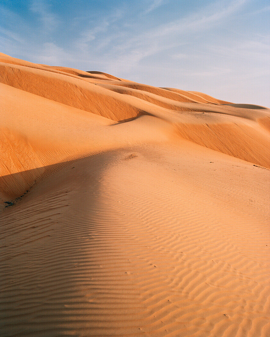 OMAN, sand dune in Wahiba sands