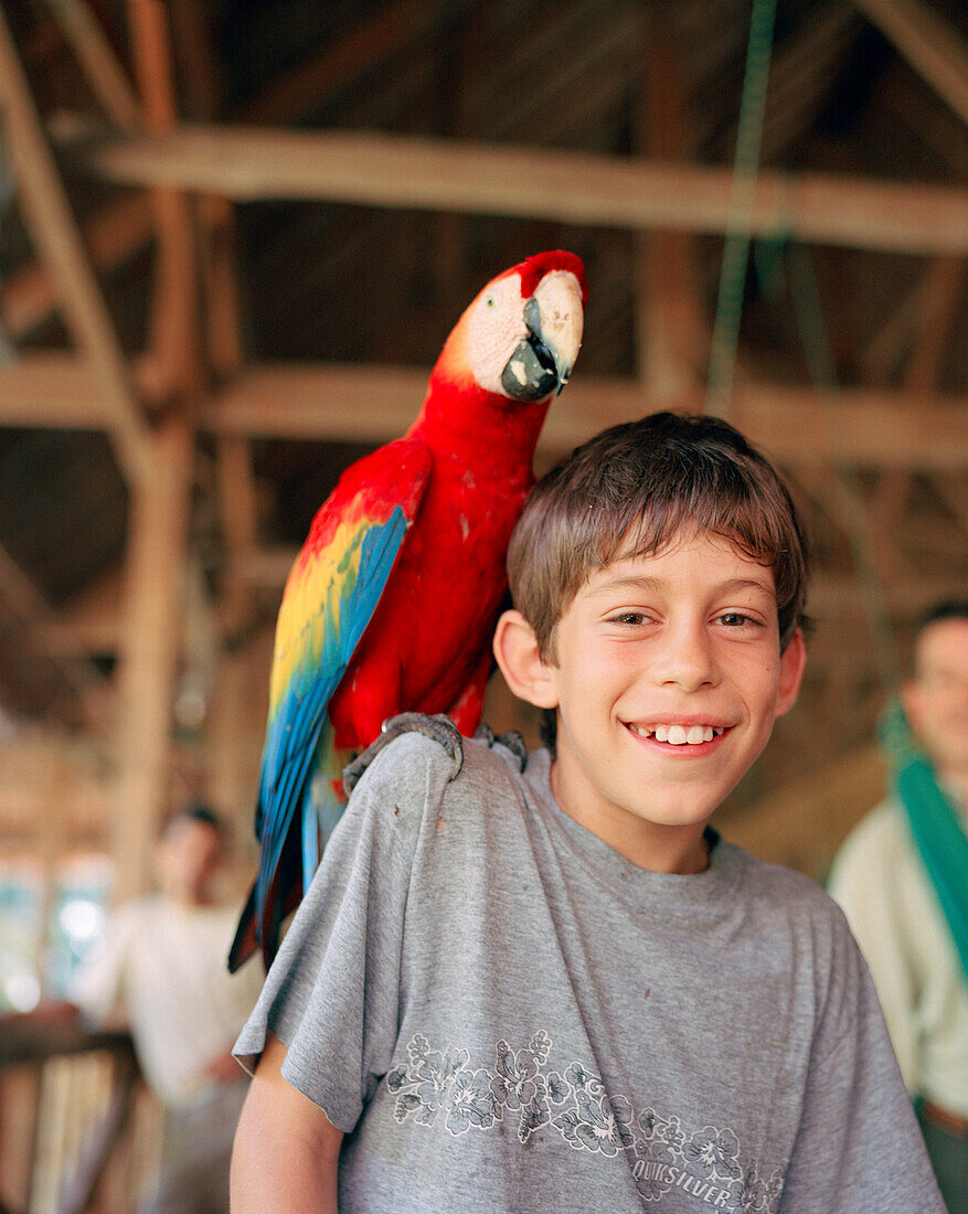 PERU, Amazon Rainforest, South America, Latin America, portrait of a Asa with Macaw bird sitting on his shoulder at the Tambopata Research Center.