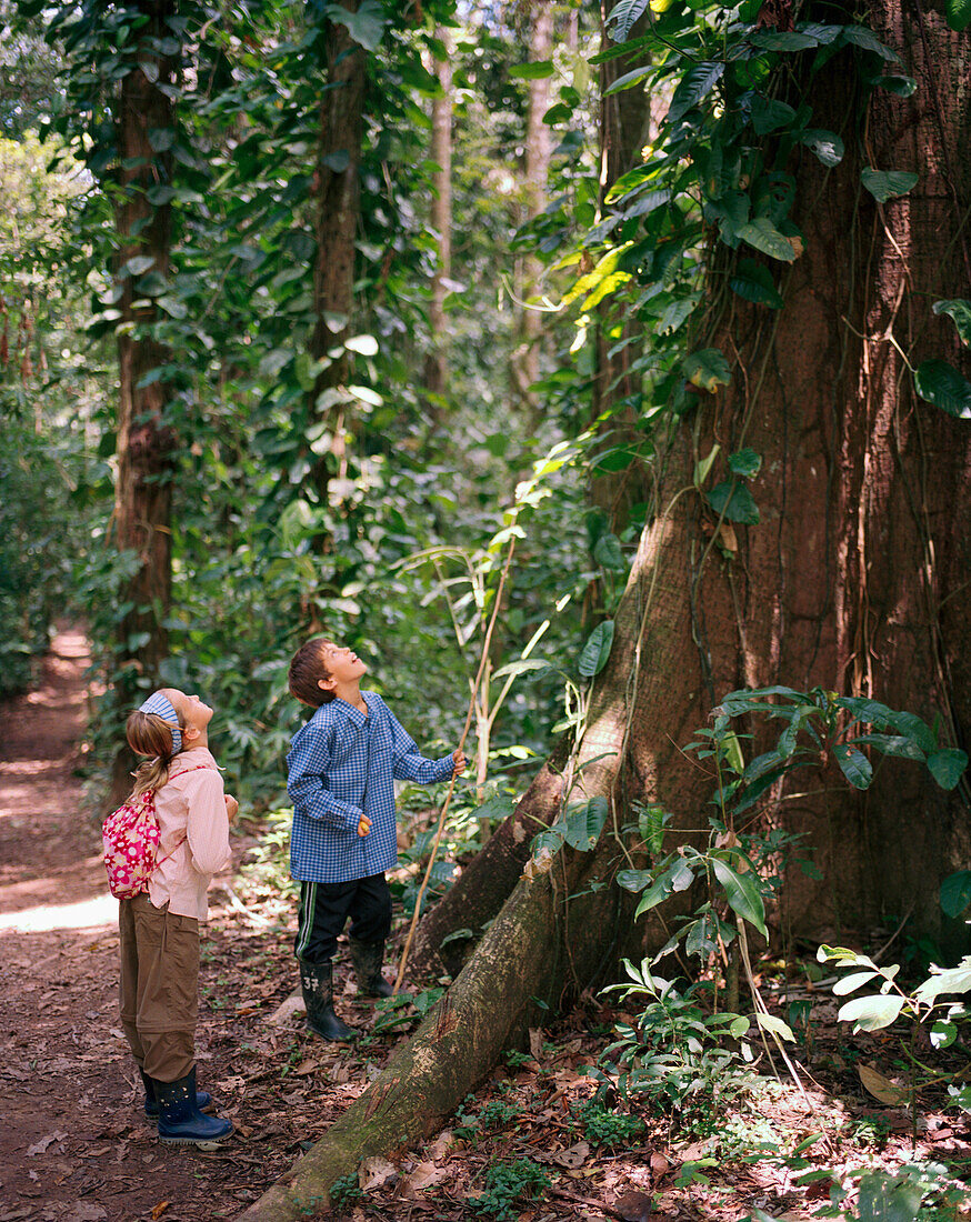 PERU, Amazon Rainforest, South America, Latin America, two children looking at tree in Tambopata National Reserve
