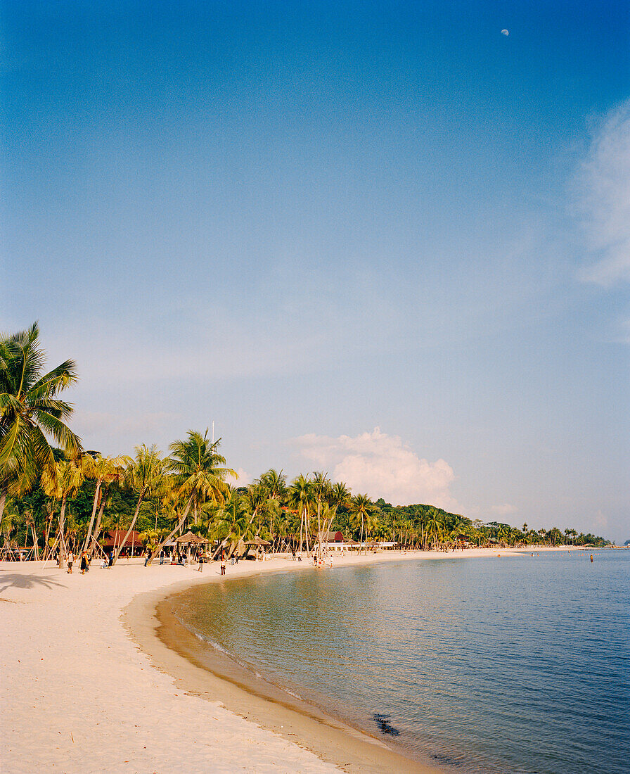 SINGAPORE, Sentosa Island, view of Siloso beach with palm trees
