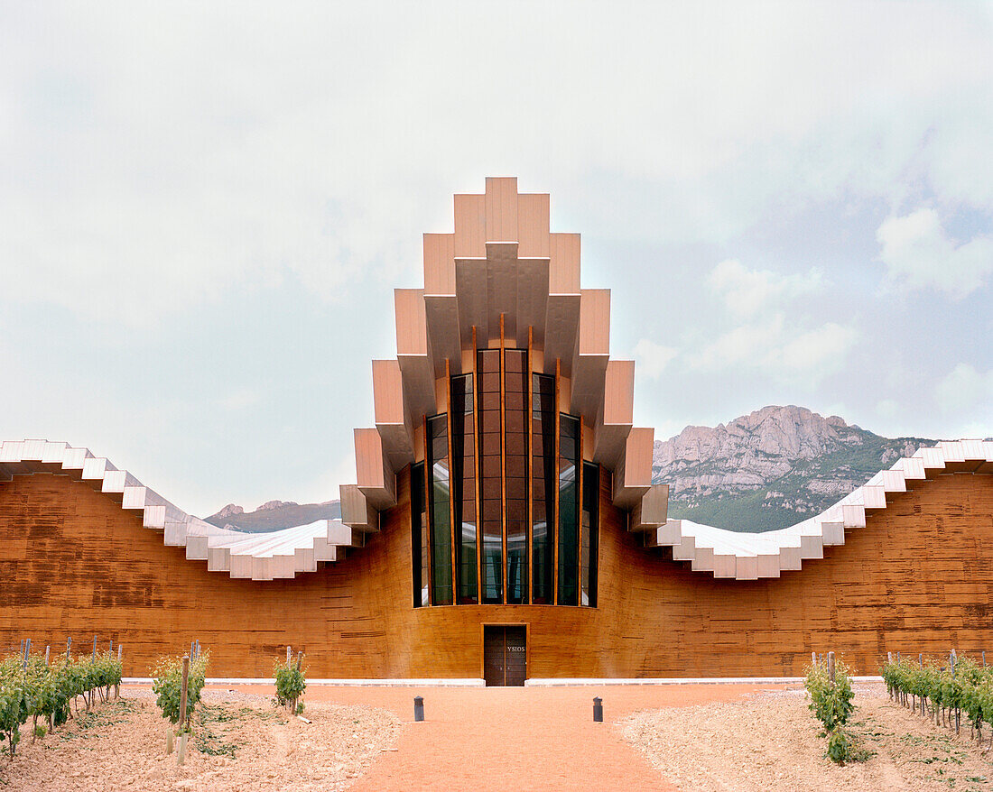 SPAIN, La Rioja, pathway amid vineyard leading to the Ysios Wine Cellar designed by Santiago Calatrava.