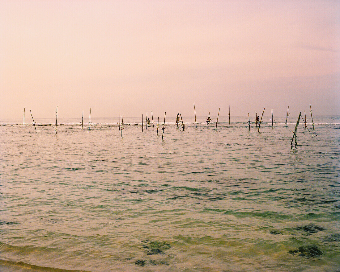 SRI LANKA, Asia, view of stick fishing in Indian Ocean
