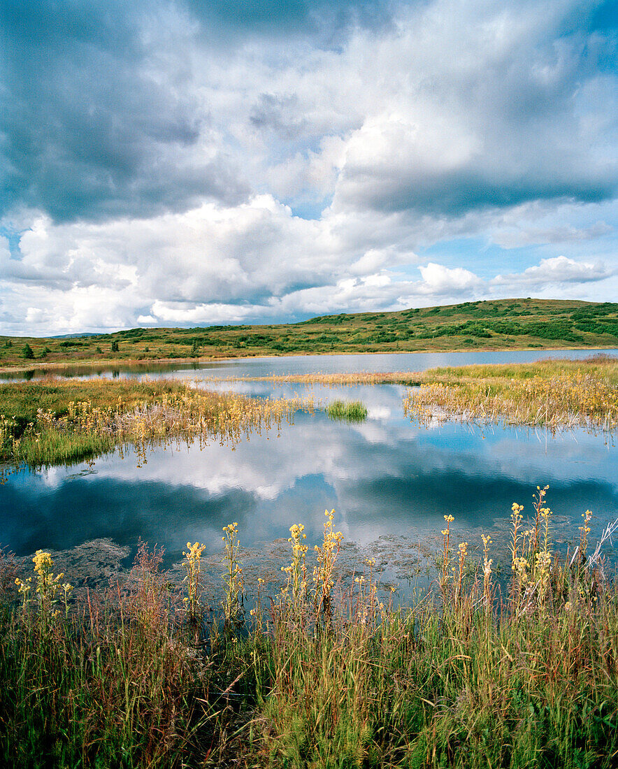 USA, Alaska, clouds reflecting on Lake, Denali National Park