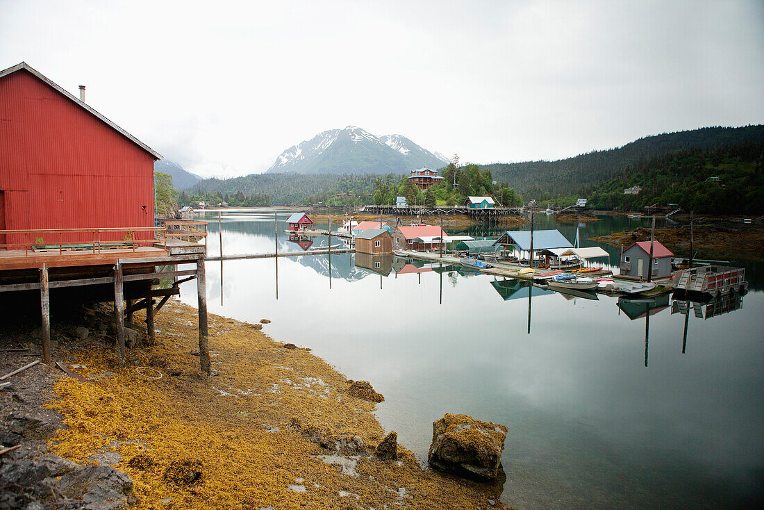 ALASKA, Homer, an overall view of Halibut Cove in the evening time