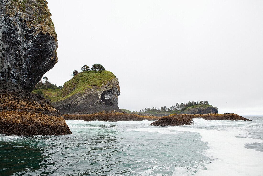 ALASKA, Sitka, Saint Lazaria island, Sitka Sound