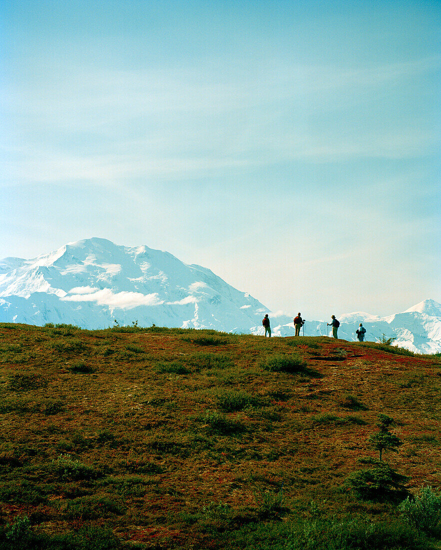 USA, Alaska, Denali National Park, people hike through the tundra with Mount Denali in the distance