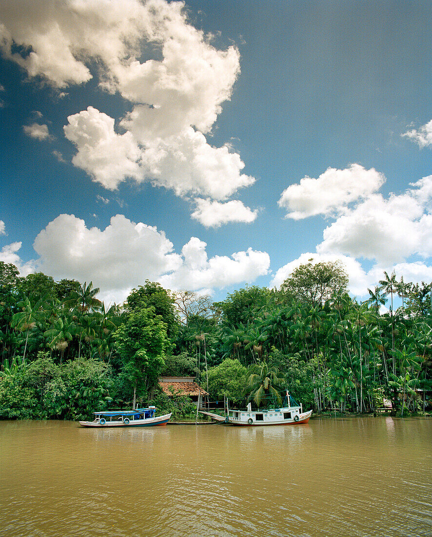 BRAZIL, Belem, South America, boats moored by trees on river, Rio Guajara