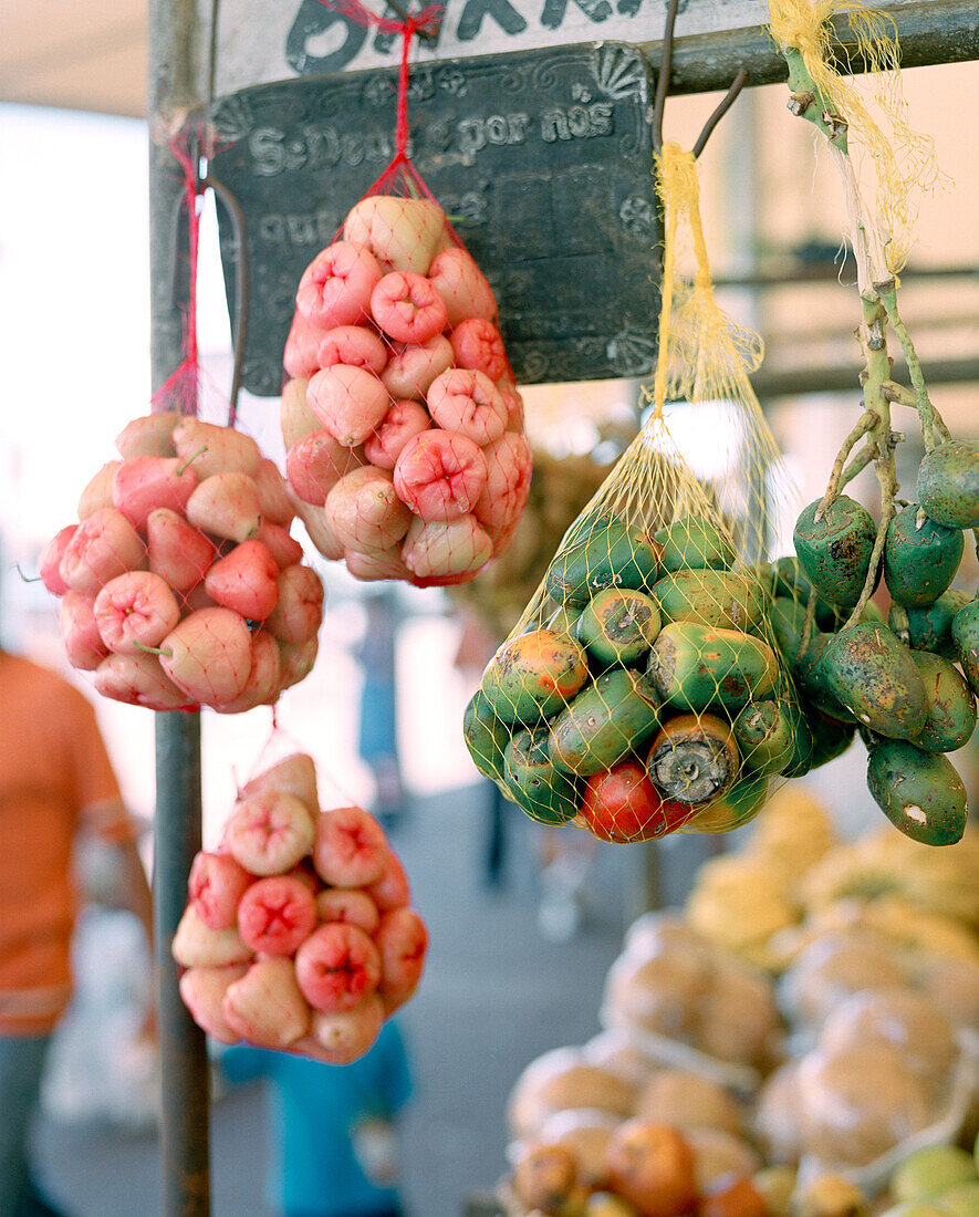 BRAZIL, Belem, South America, a variety of fruit hanging for sale, Ver-O-Peso market