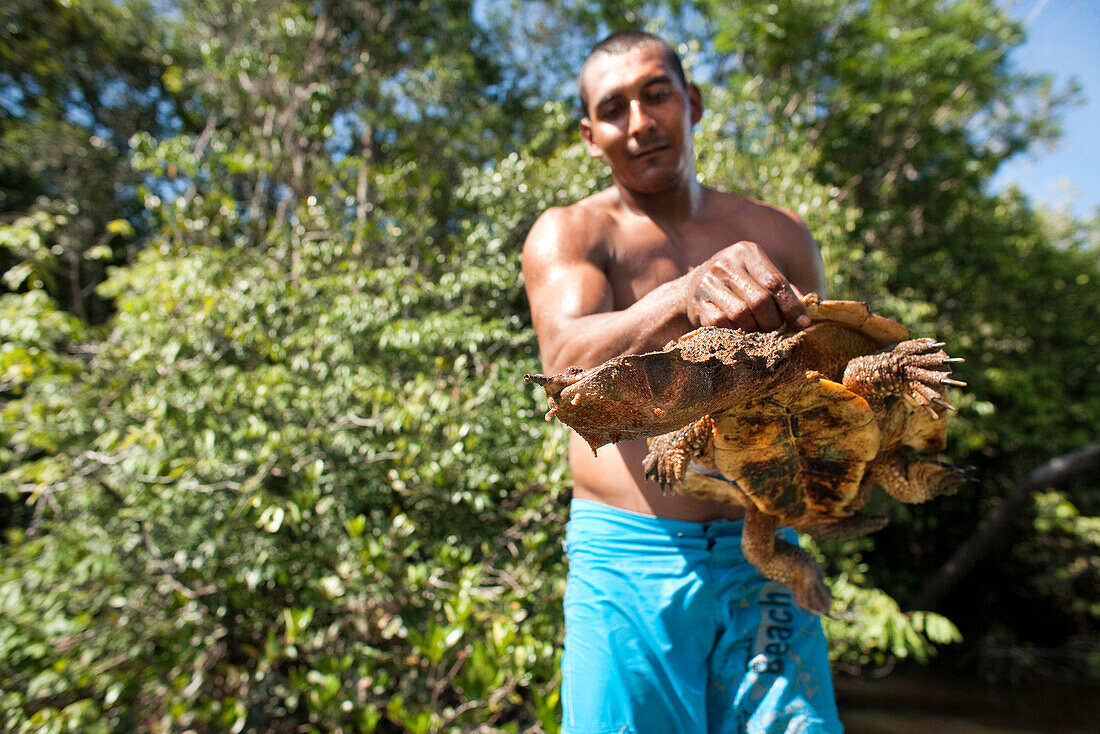 BRAZIL, Agua Boa, fishing guide holding a river turtle that he dove off of the boat to catch, Agua Boa River and resort