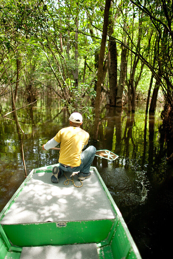 BRAZIL, Agua Boa, fishing guide maneuvering a boat through the mangroves, Agua Boa River and resort
