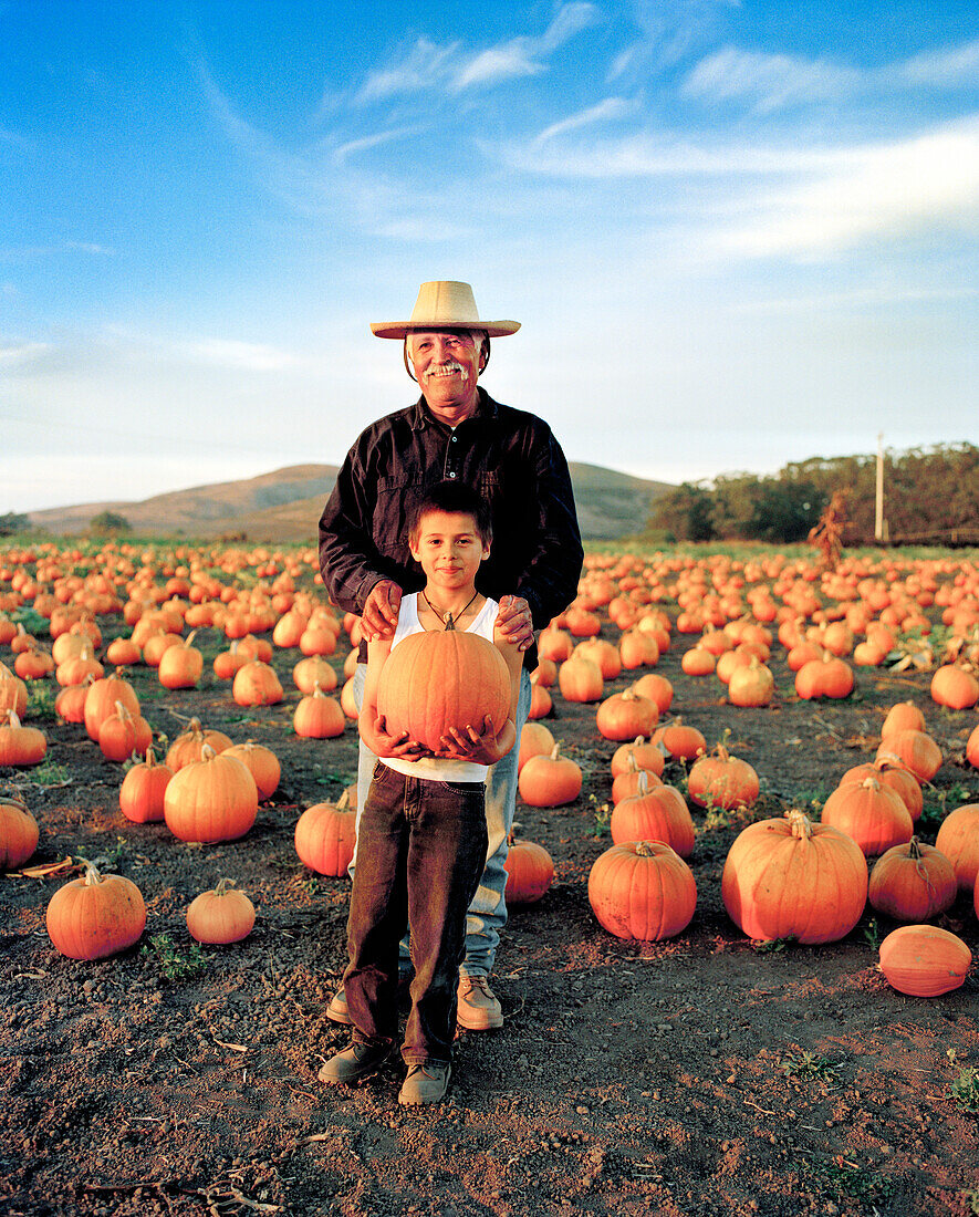 USA, California, senior man standing with his grandson in a pumpkin patch, Half Moon Bay