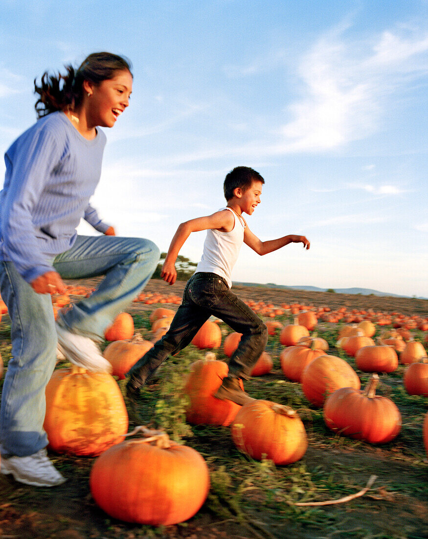 USA, California, happy girl and boy running in pumpkins, Half Moon Bay
