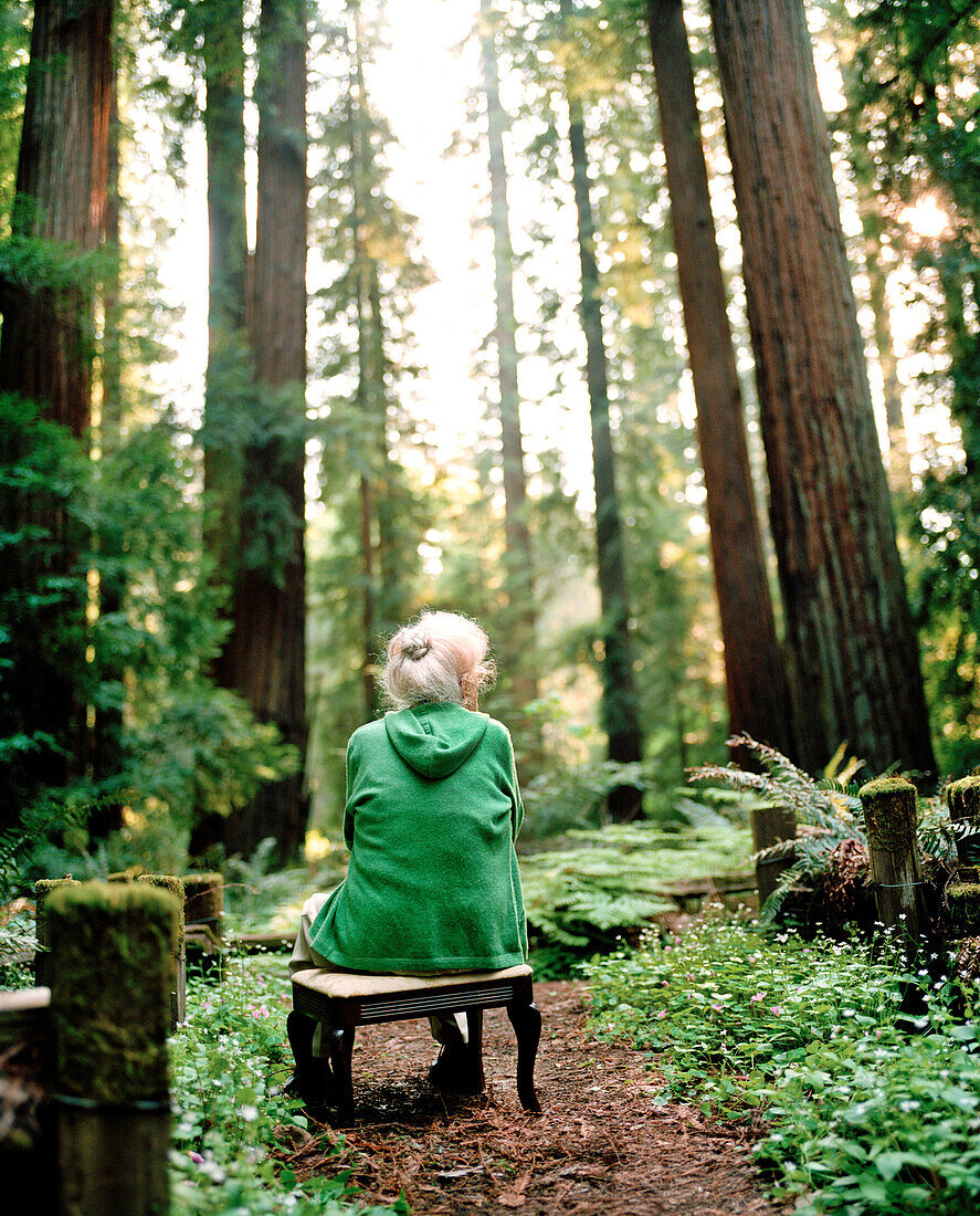 USA, California, senior woman sitting in redwood forest