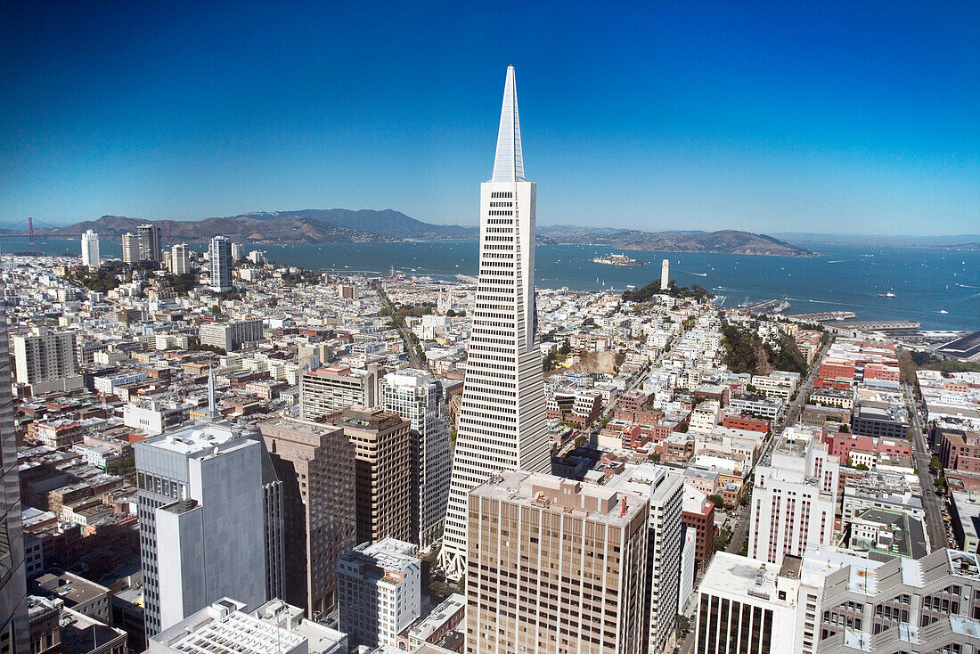 USA, California, San Francisco, view of the Transamerica Building, Coit Tower and the San Francisco Bay