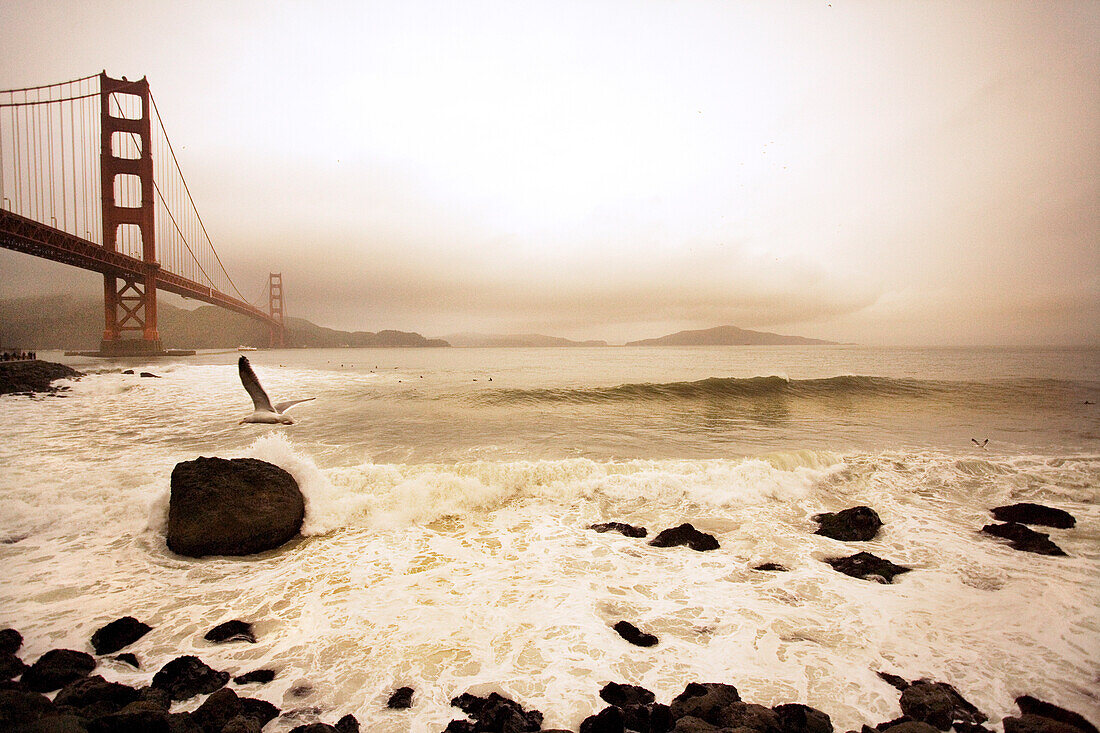 USA, California, San Francisco, the Golden Gate Bridge with a seagull and surfers, Fort Point