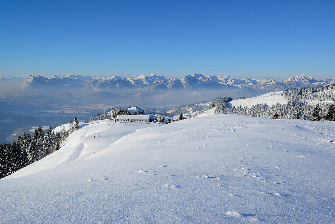 Verschneite Almlandschaft am Brennkopf, Inntal und Mangfallgebirge im Hintergrund, Brennkopf, Chiemgauer Alpen, Tirol, Österreich