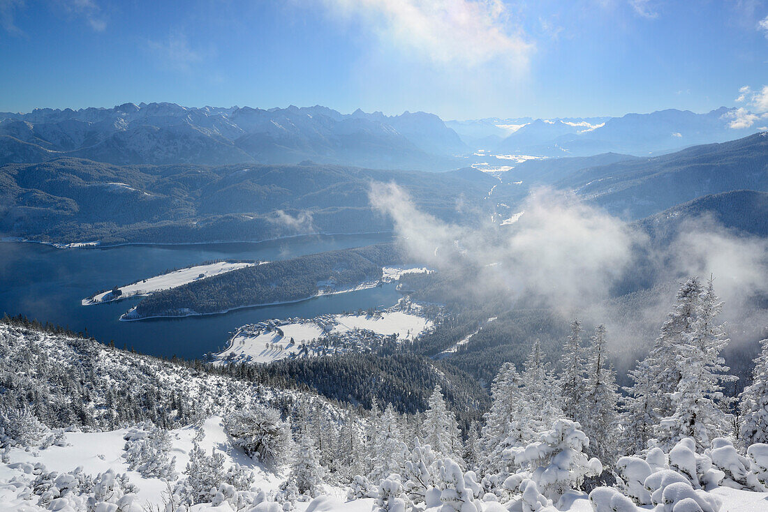 View to lake Walchensee, Karwendel range in the background, at Herzogstand, Bavarian Alps, Upper Bavaria, Bavaria, Germany