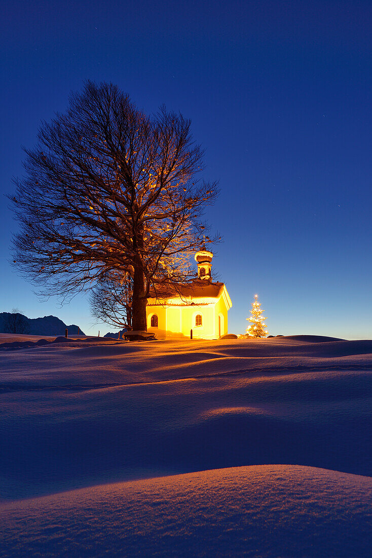 Verschneite Kapelle mit Christbaum und Wettersteingebirge im Hintergrund, Krün, Werdenfels, Bayerische Alpen, Oberbayern, Bayern, Deutschland