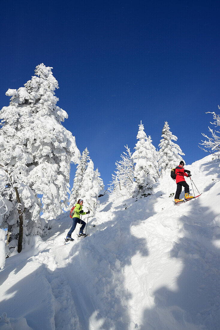 Two backcountry skier ascending to Spitzstein, Chiemgau Alps, Tyroll, Austria