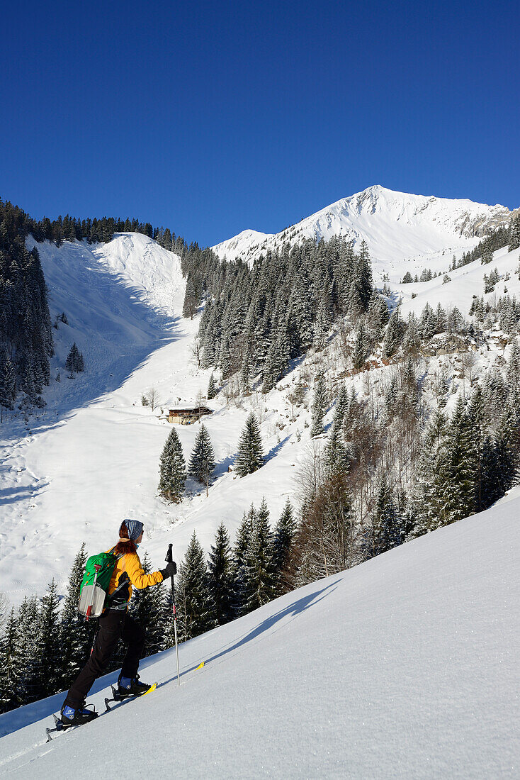 Skitourgeherin steigt zum Hinteren Sonnwendjoch auf, Mangfallgebirge, Bayerische Voralpen, Tirol, Österreich