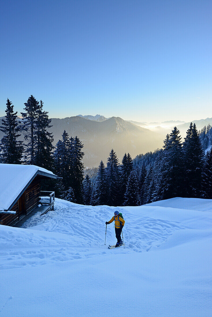 Frau auf Skitour steigt an Almhütte vorbei zu Blankenstein auf, Bayerische Alpen, Oberbayern, Bayern, Deutschland