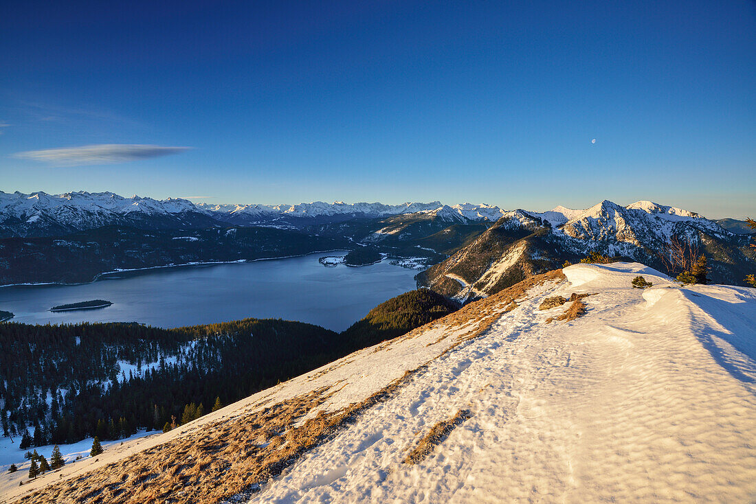 View from Jochberg to lake Walchensee, Karwendel range and Bavarian Alps, Jochberg, Bavarian Alps, Upper Bavaria, Bavaria, Germany