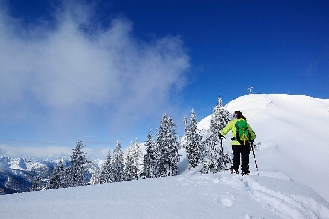 Female backcountry skier ascending to Trainsjoch, Mangfall range, Bavarian Alps, Upper Bavaria, Bavaria, Germany