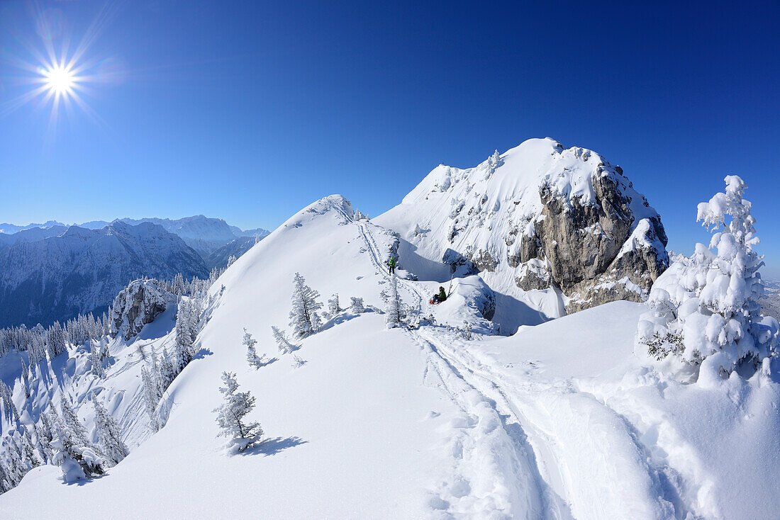 Snow-covered summit of Teufelstaettkopf, Teufelstaettkopf, Puerschling, Ammergauer Alps, Upper Bavaria, Bavaria, Germany