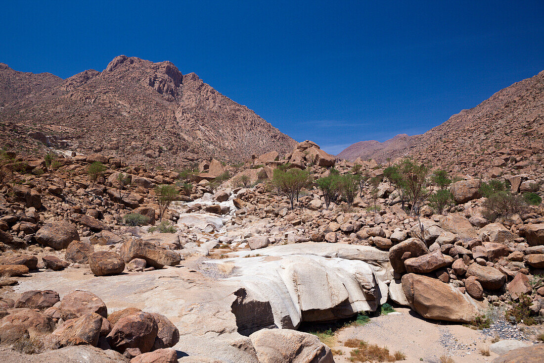 Impressions of Tsisab Ravine Valley, Brandberg, Erongo, Namibia
