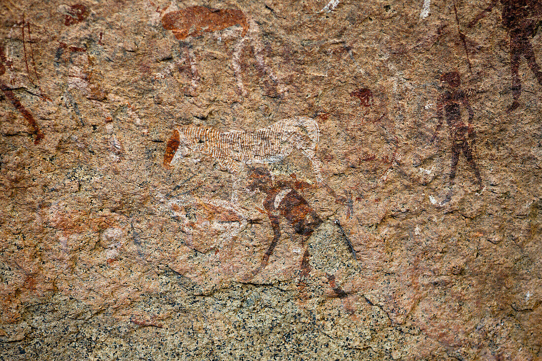The White Lady Rock Painting, Brandberg, Erongo, Namibia