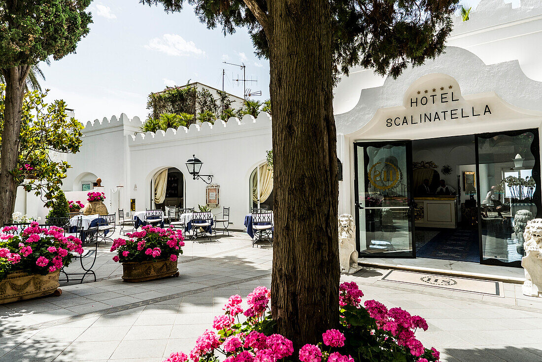 Hotel La Scalinatella, Capri, Campania, Italy