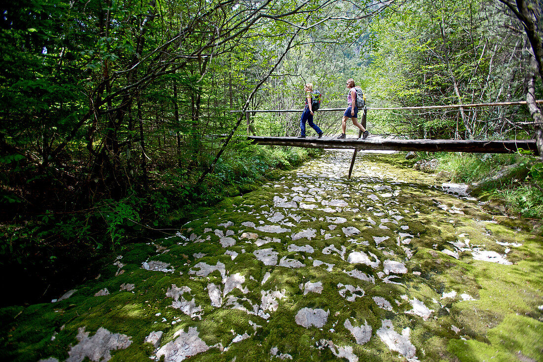 Two female hikers passing a swing bridge, Nockberge, Carinthia, Austria