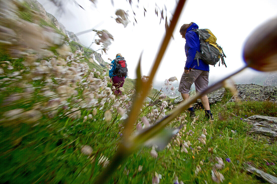 Two female hikers walking the Alpe-Adria-Trail, Nockberge, Carinthia, Austria