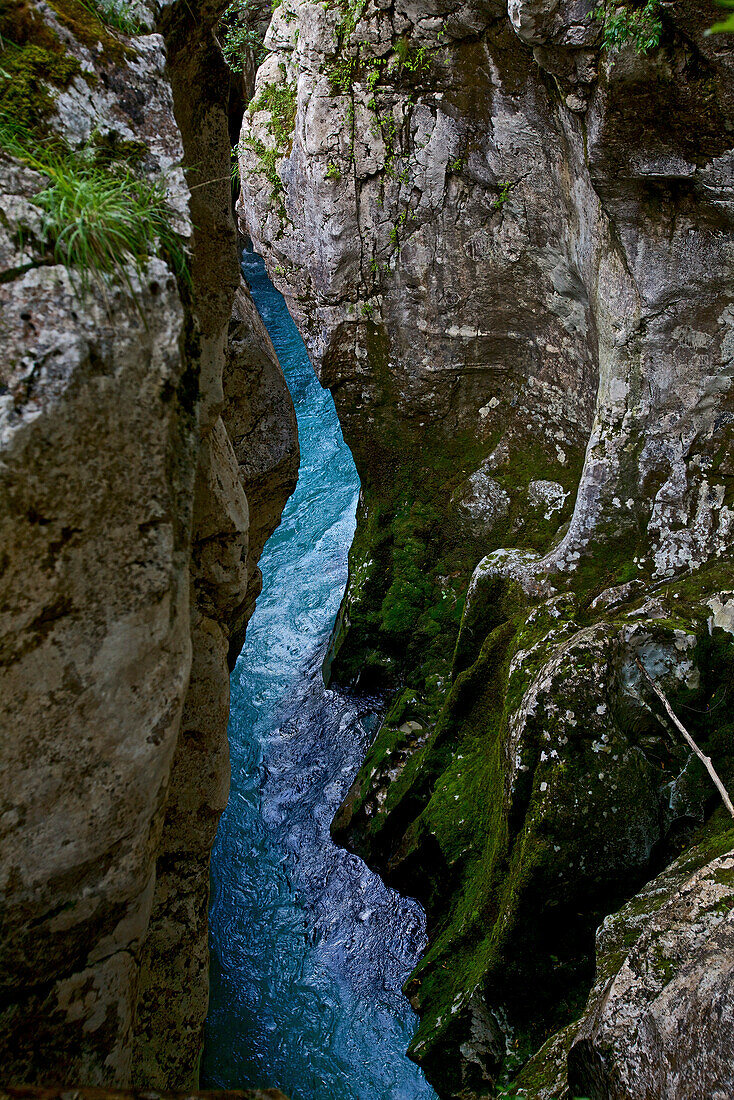 Blick auf den Fluss Soca, Alpe-Adria-Trail, Trenta, Slowenien